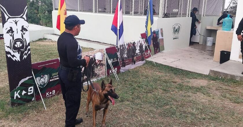 Binomio canino de la GE asistió a Diplomado Nacional para Perros Multipropósito