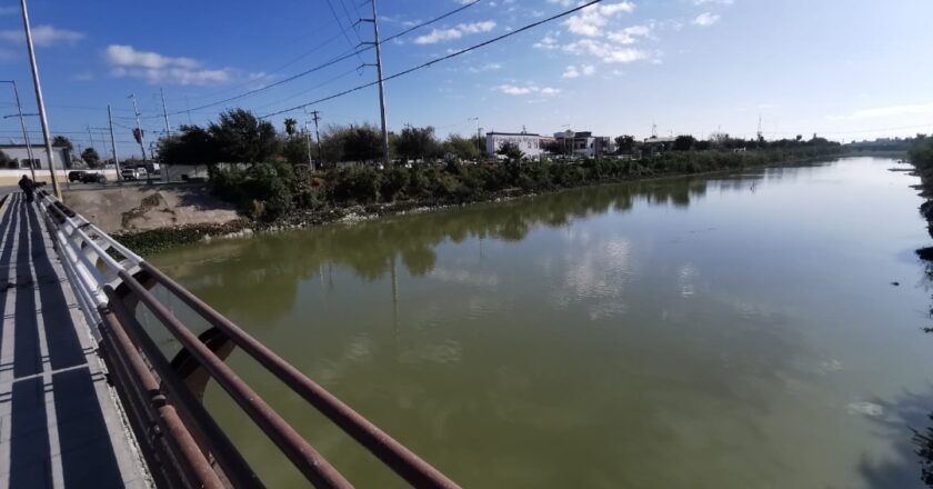 Se va el lirio acuático…¡con todo y peces!