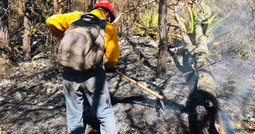 Unen esfuerzos para contener incendio forestal