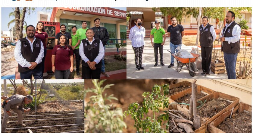 Desarrolla UAT proyecto de composta y huertos orgánicos