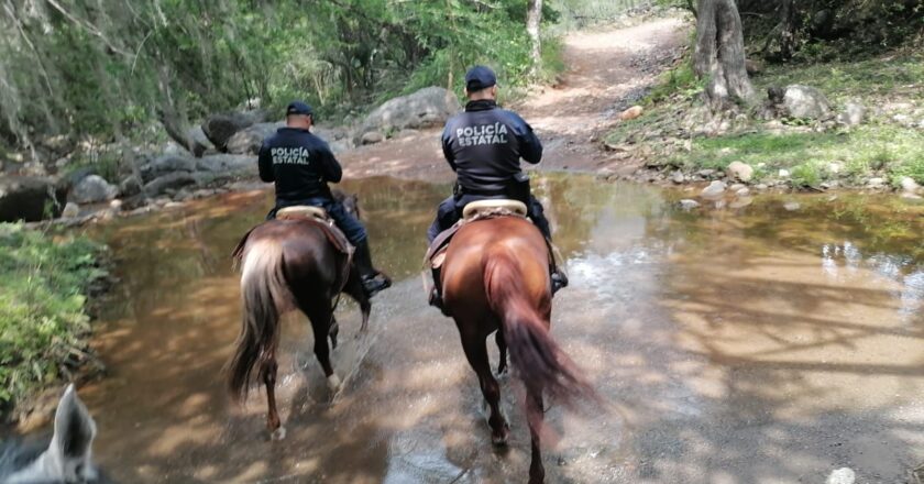 Vigila agrupamiento montado de la Guardia Estatal