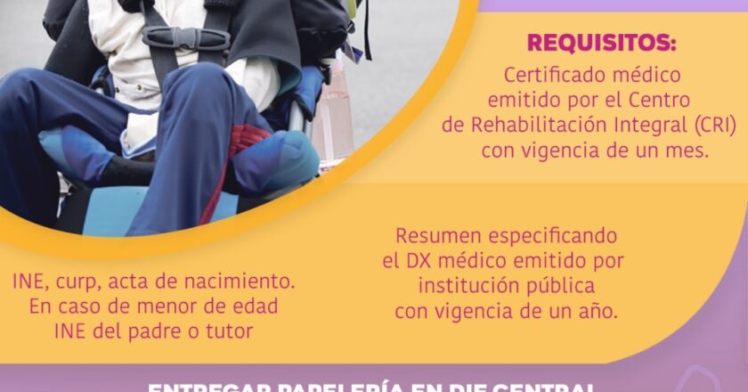 Realizará DIF Reynosa campaña de sillas de ruedas especiales