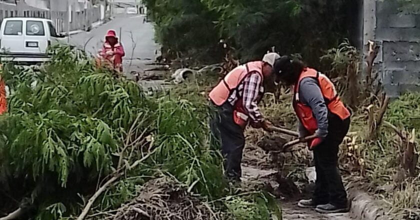 Continúa Municipio de Reynosa con saneamiento y limpieza de la ciudad