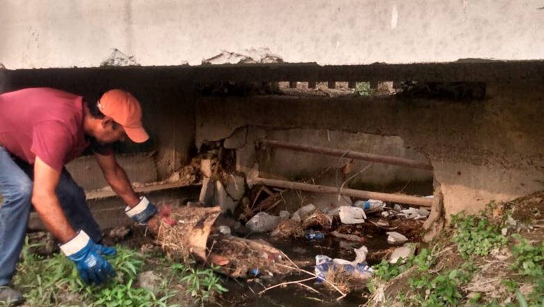 Realizó COMAPA limpieza de drenes pluviales en varias colonias