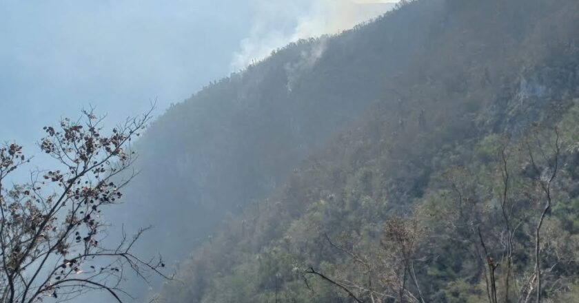 Continúa combate a incendios forestales