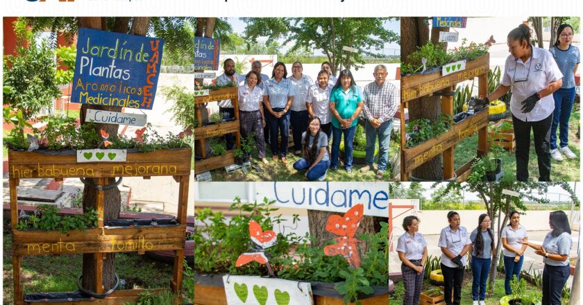 Cultivan en espacios de la UAT plantas aromáticas y medicinales