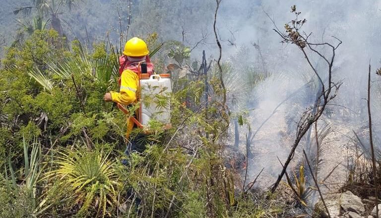 Apoya SEDENA combate a incendios forestales