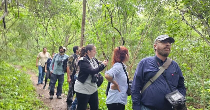 Observan aves de la Reserva de la Biósfera “El Cielo”