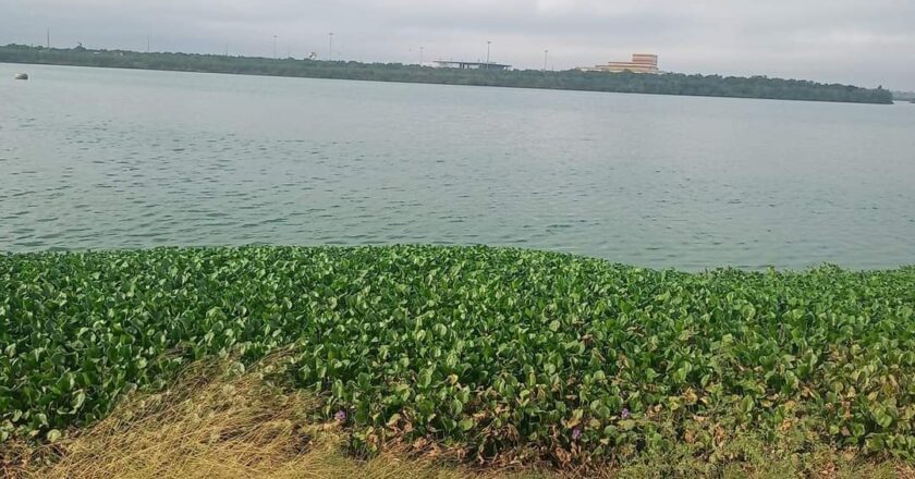 Planean desarrollo turístico en la laguna “La Escondida”