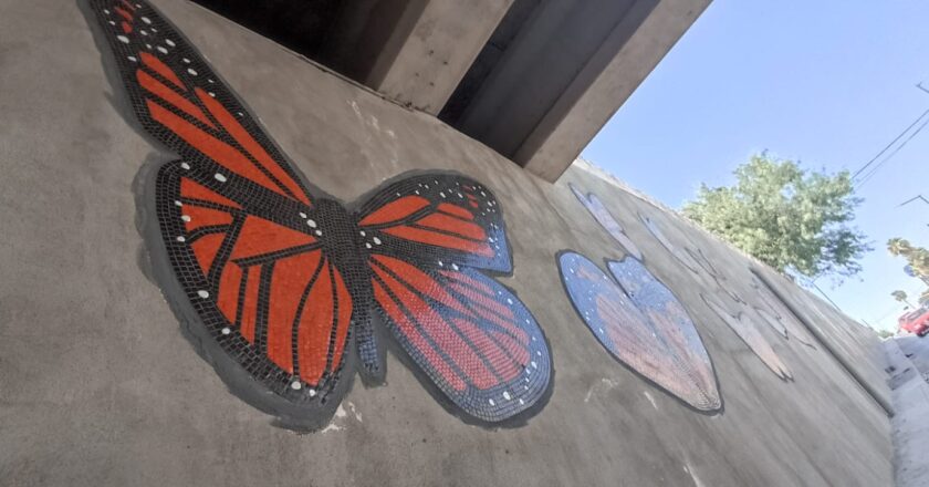 Volarán más mariposas en el Paso a Desnivel 2