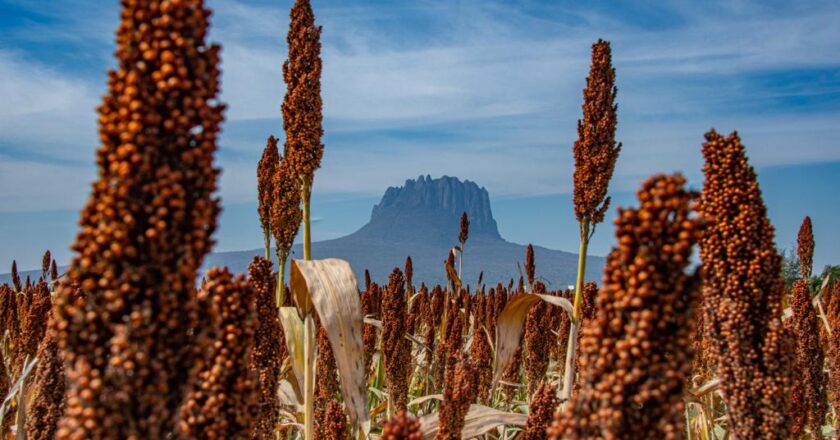 Dan a conocer ganadores del Primer Concurso Estatal de Fotografía “Esto es Tamaulipas”