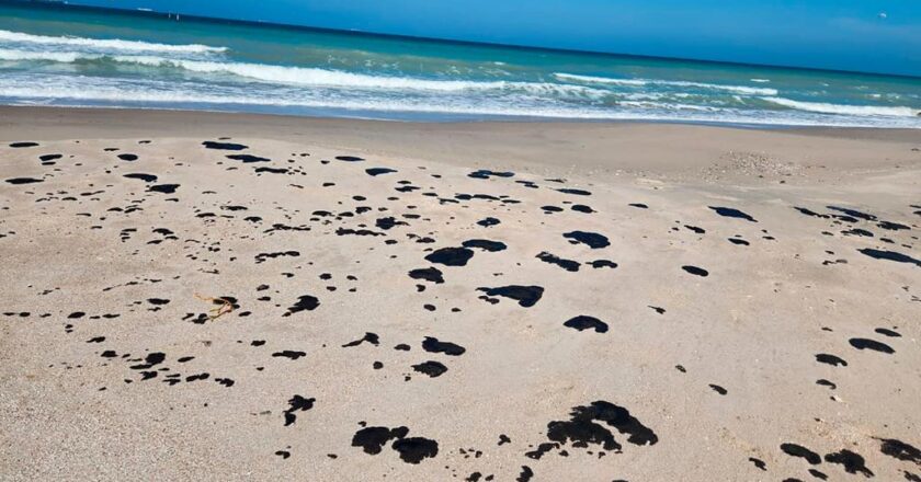 Derrame de hidrocarburos llega a playas tamaulipecas