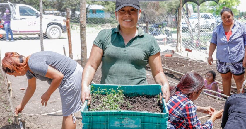 Beneficia DIF Tamaulipas a familias de Ocampo con curso “Huerto Familiar”