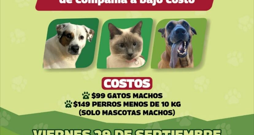 Programa “EcoPatas” llevará beneficios a colonia Industria Maquiladora