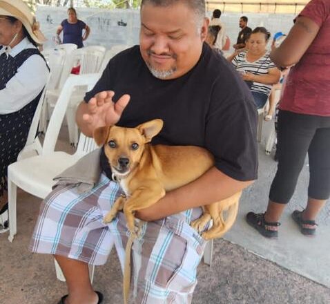 Proteger animales y reforestar Reynosa, objetivos del programa ECOPATAS