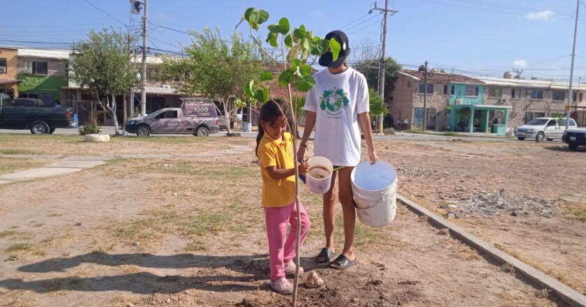 Alcalde Carlos Peña Ortiz comprometido con la reforestación