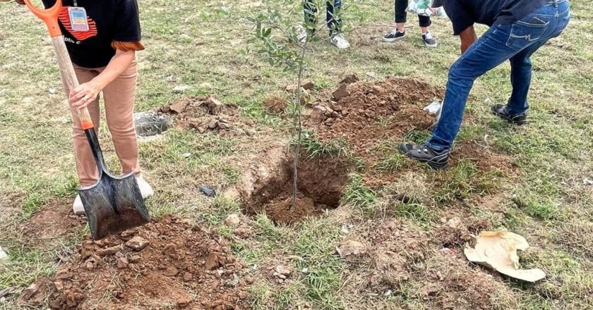 Suma Gobierno de Reynosa a organismos para trabajar en programas ambientales