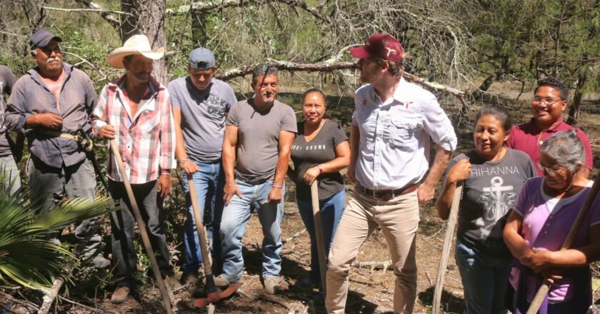 Fomenta SEDUMA acciones de reforestación y empleo temporal