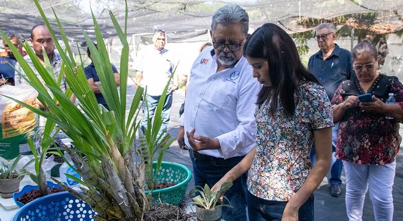 Promueve UAT el cultivo y conservación de orquídeas