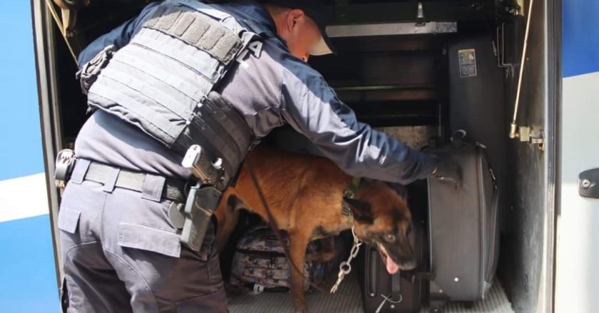 Guardia Estatal redobla vigilancia en centrales de autobuses