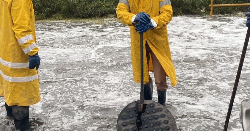 Realiza COMAPA limpieza de drenes y pluviales en diferentes sectores