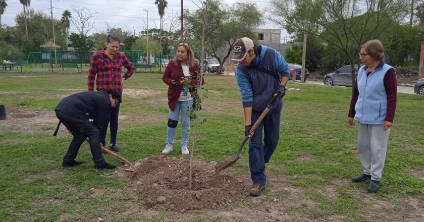 Lleva Alcalde Carlos Peña Ortiz programas ambientales a colonias de Reynosa