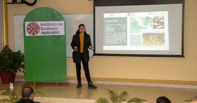 Realiza UAT estudios para proteger ruta migratoria de la mariposa monarca