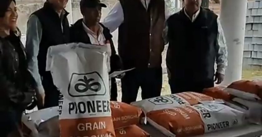 Entregan semilla de sorgo a productores rurales