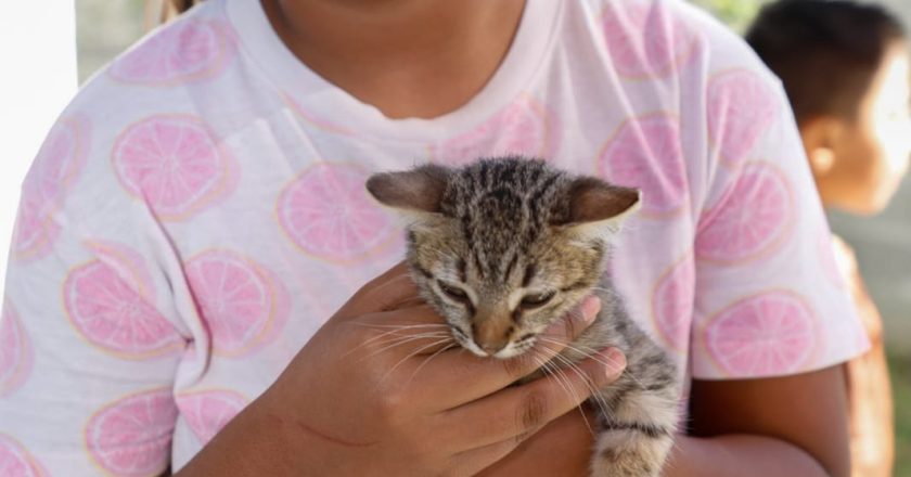 Refrenda Alcalde Carlos Peña Ortiz compromiso para proteger a mascotas