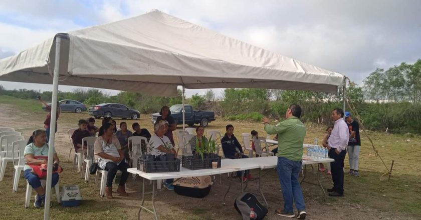 Favorece Alcalde Carlos Peña Ortiz reforestación para nuevas áreas generadoras de oxígeno