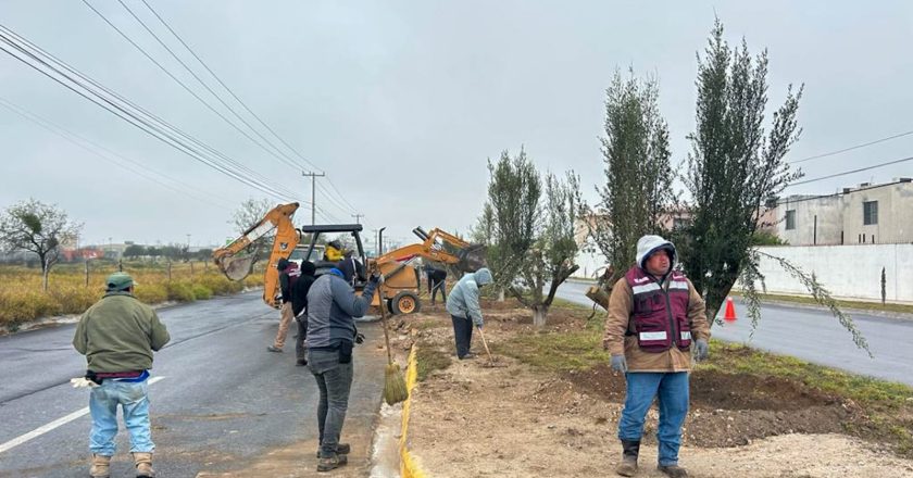 Planta Gobierno de Carlos Peña Ortiz olivos en avenidas de Reynosa