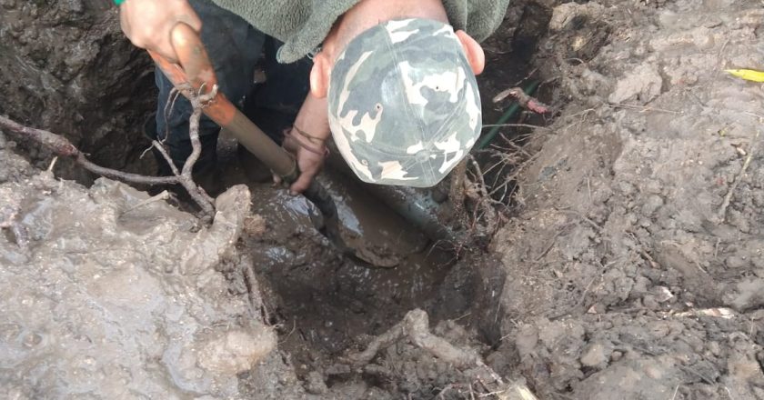 Soluciona COMAPA fuga de agua potable en la colonia Pedro J. Méndez