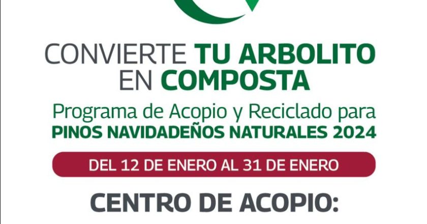 Inicia Gobierno de Reynosa acopio y reciclado de pinos navideños