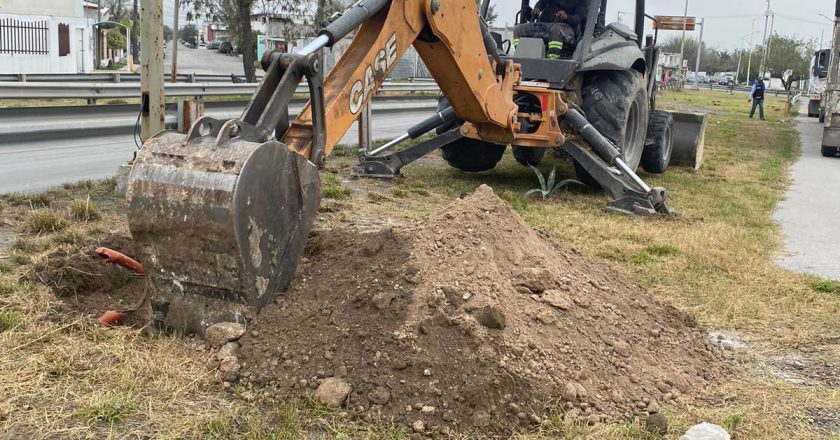 Transforma Alcalde Carlos Peña Ortiz imagen de Reynosa con reforestación