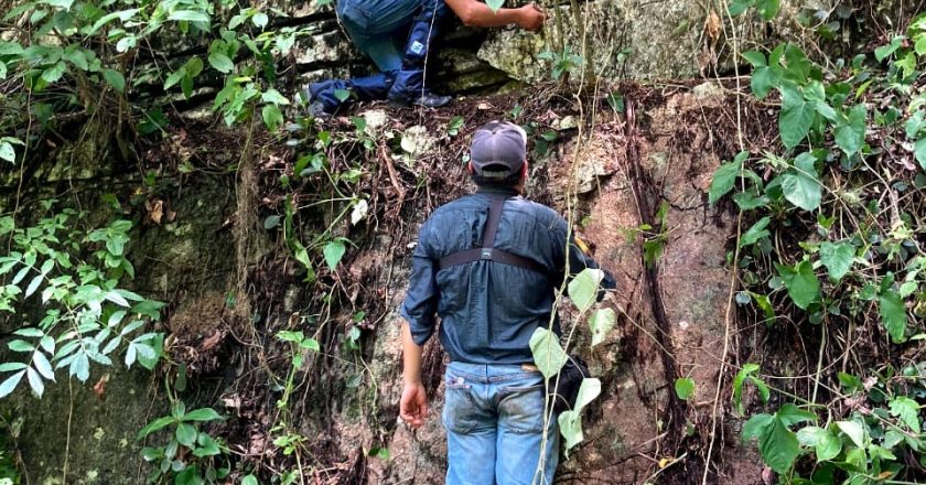 Estudia UNAM fauna de la Reserva de la Biósfera El Cielo