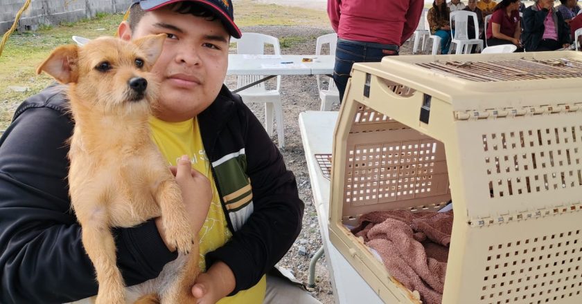 Avalan ciudadanos mejora en calidad de vida para animales en Reynosa