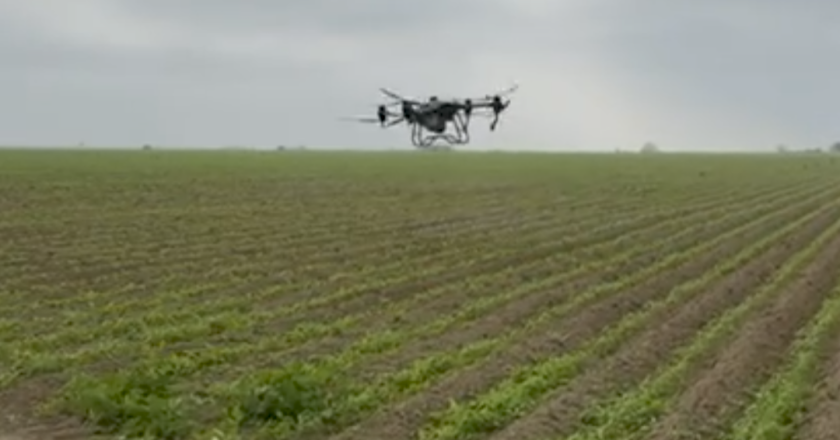 Fumigan agricultores con drones