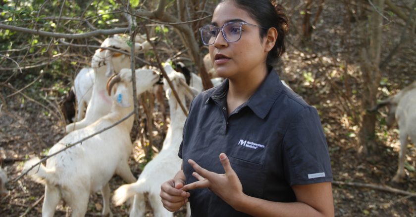 Analiza UAT innovaciones de mejoramiento para la producción caprina