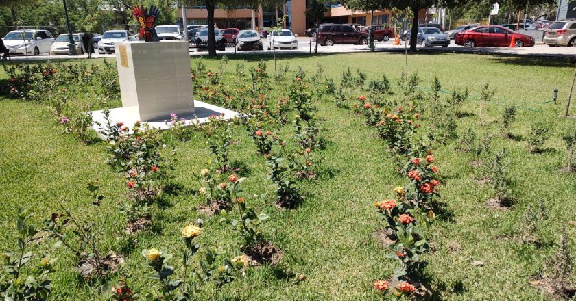 Rotarios construyeron mariposario en la plaza De la República