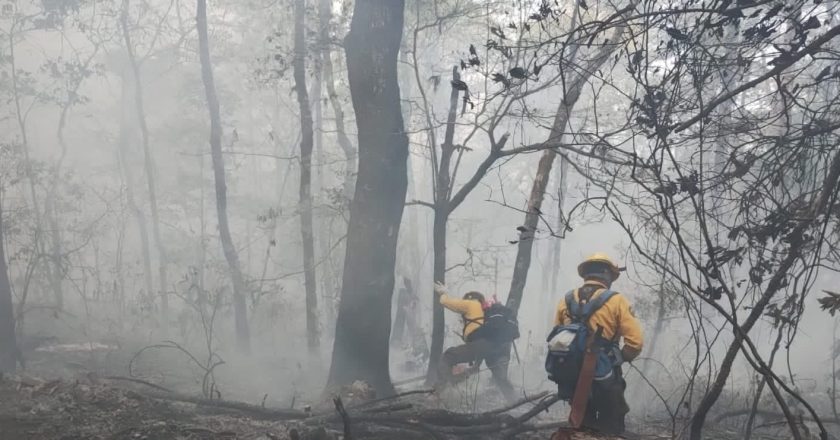 Combaten ciudadanos y autoridades incendio forestal