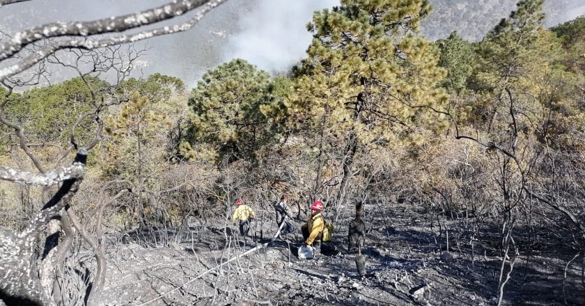 Extinguidos dos incendios forestales en Tamaulipas