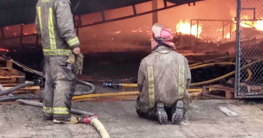 Controlan bomberos incendio en tarimera