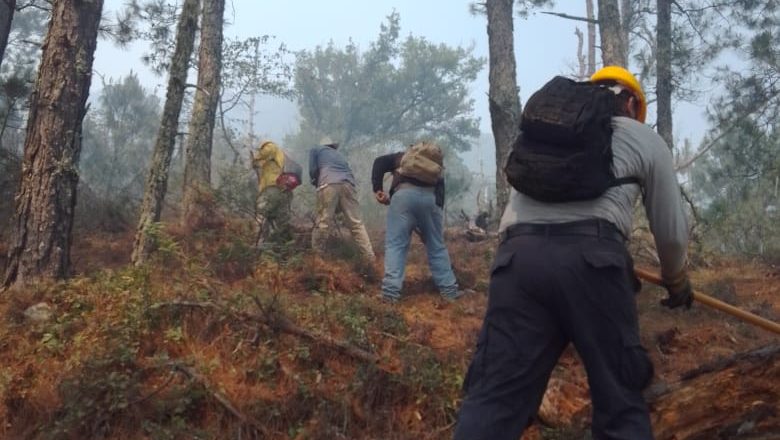 Continúa lucha contra incendio forestal