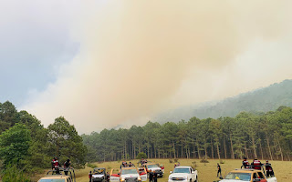 Combaten incendio forestal en el Cañón del Novillo