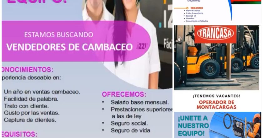 Ofertó Gobierno de Reynosa 200 vacantes en la Feria Virtual del Empleo