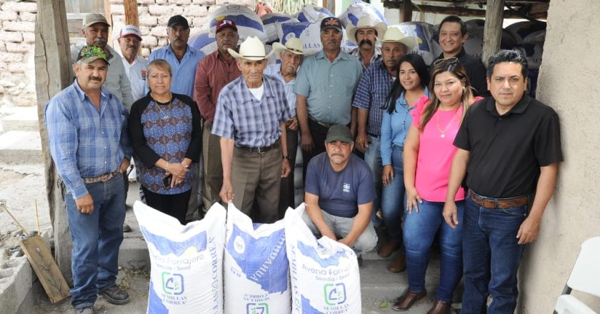 Impulsan siembra de avena forrajera