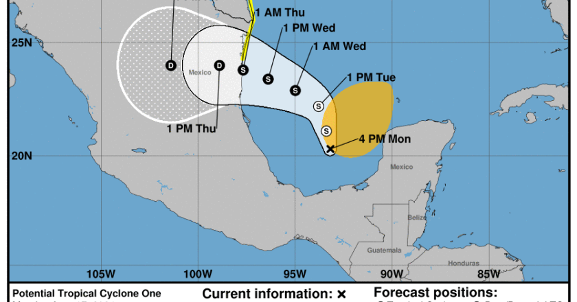 Alberto ya nació y viene para acá