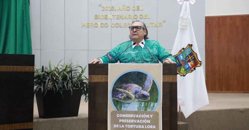 Reconoce Congreso labor para conservación de la tortuga lora