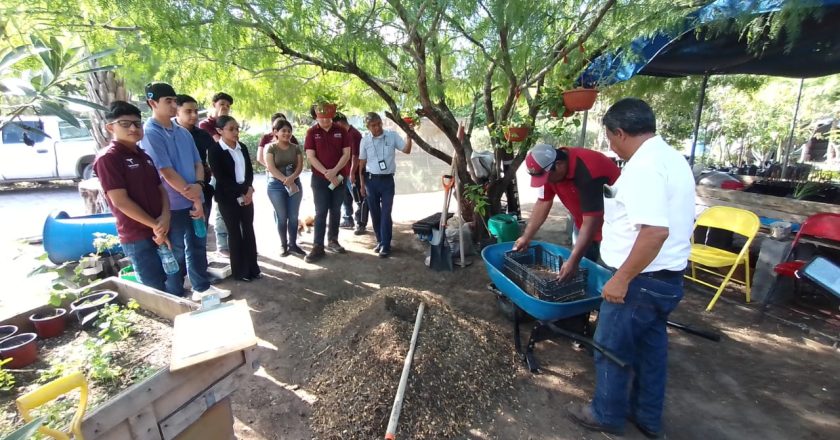 Impulsa Alcalde Carlos Peña Ortiz la agricultura urbana