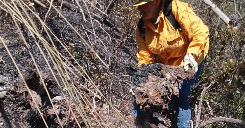 Colaboran brigadistas de la SEDUMA en contención de incendio forestal en Jaumave